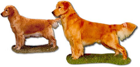 Sarah and her son Caper